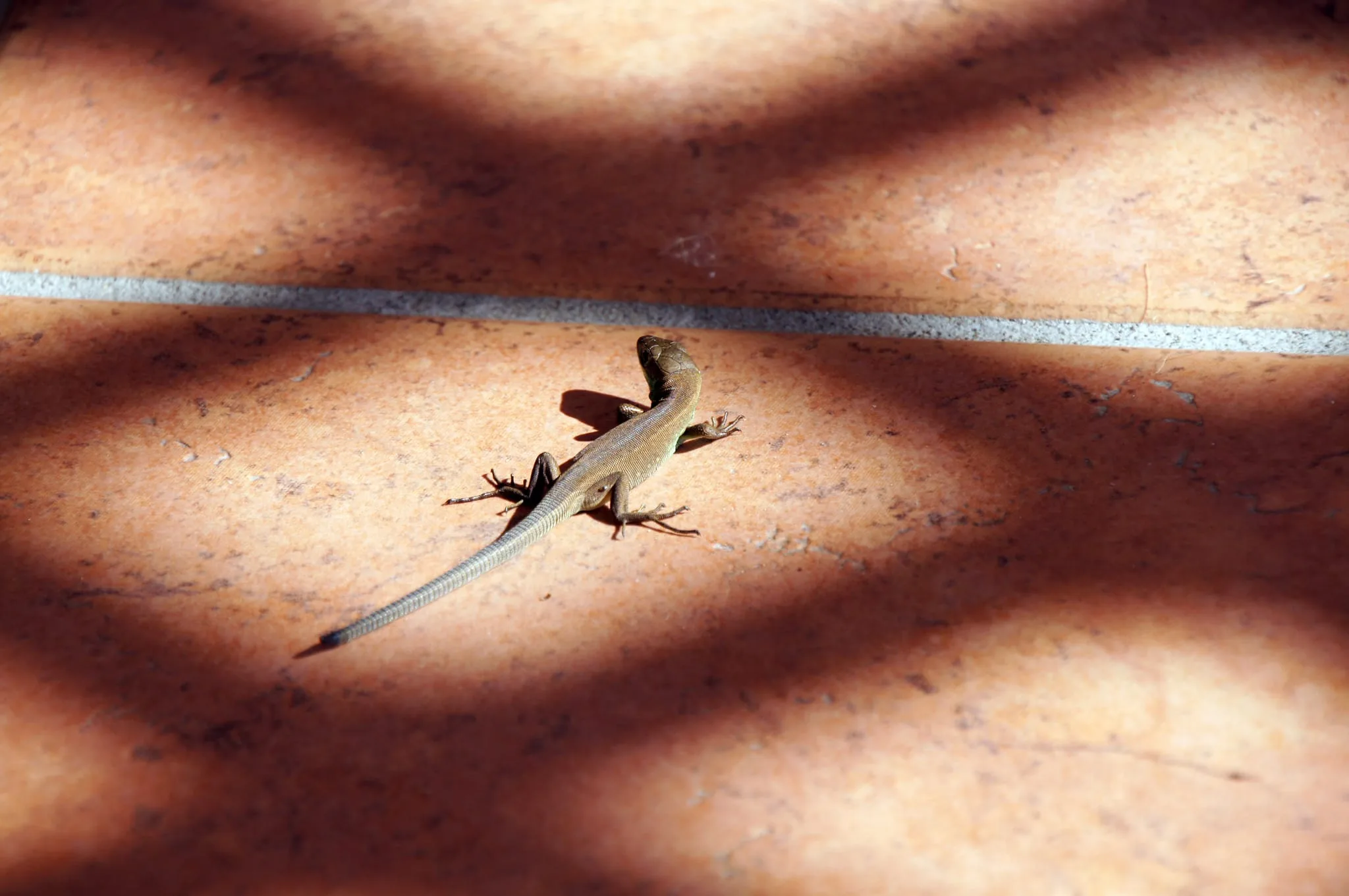 Abschlussfahrt Caorle